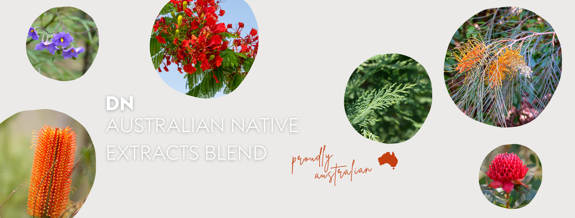 Daily Naturals' Australian Native Extracts Blend – Daily Naturals Clean ...